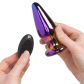 Dream Toys Glamour Glass Vibe Tapered Fjernbetjent Butt Plug Produktbillede med hånd 51